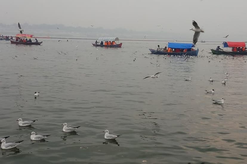 Ganga-Yamuna water report