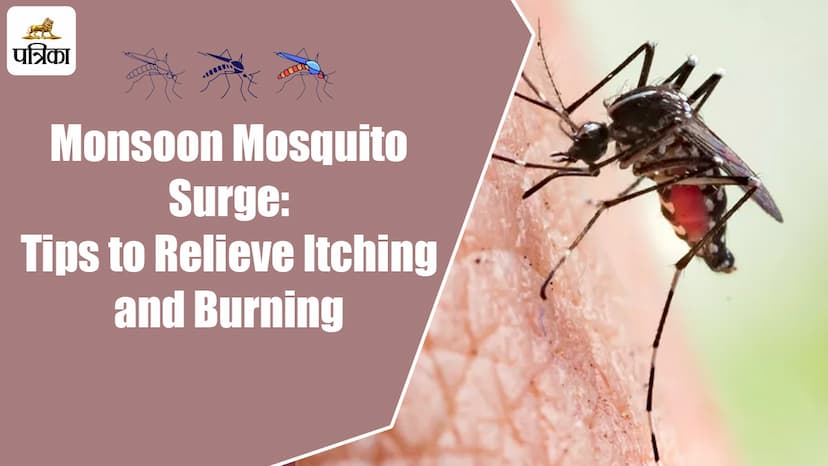 Monsoon Mosquito Surge: Tips to Relieve Itching and Burning