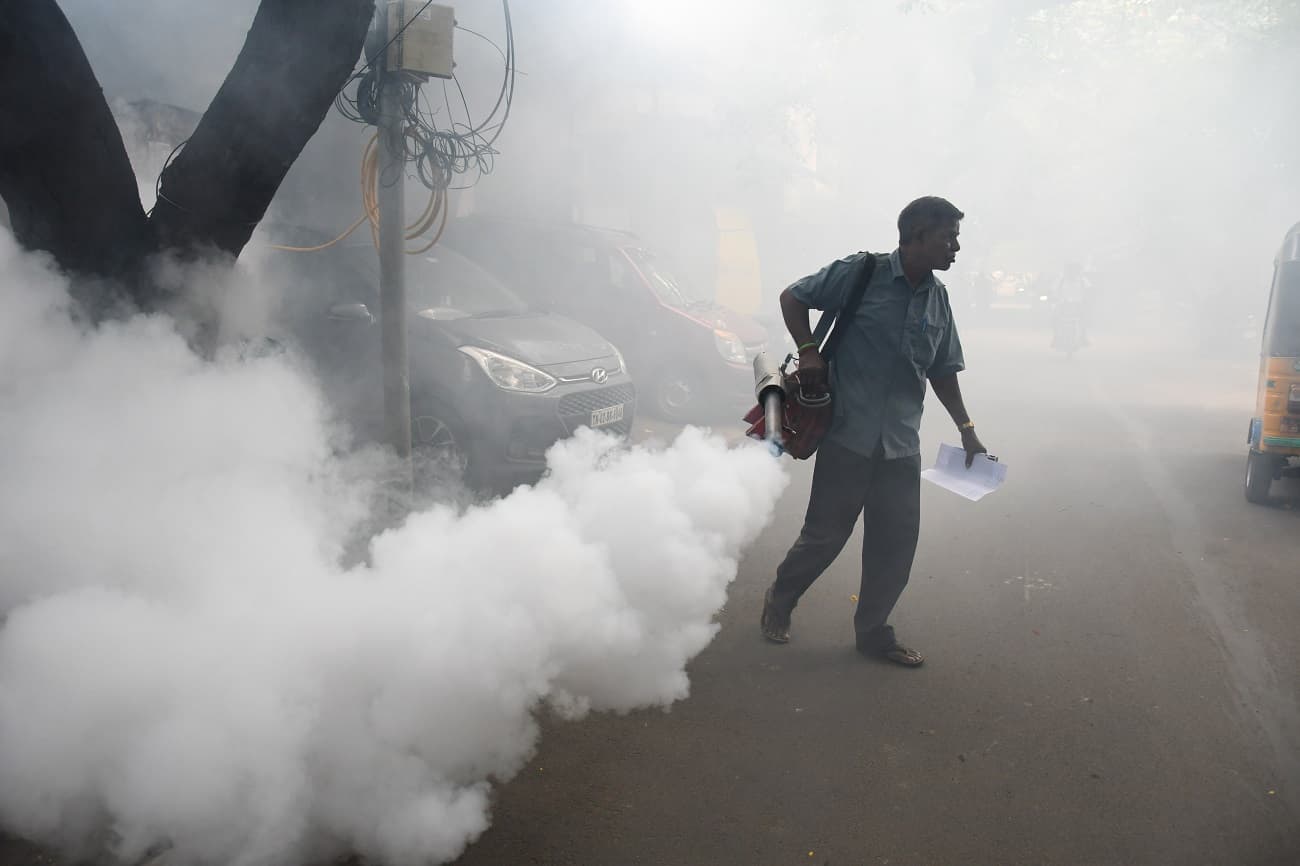 mosquito fogging