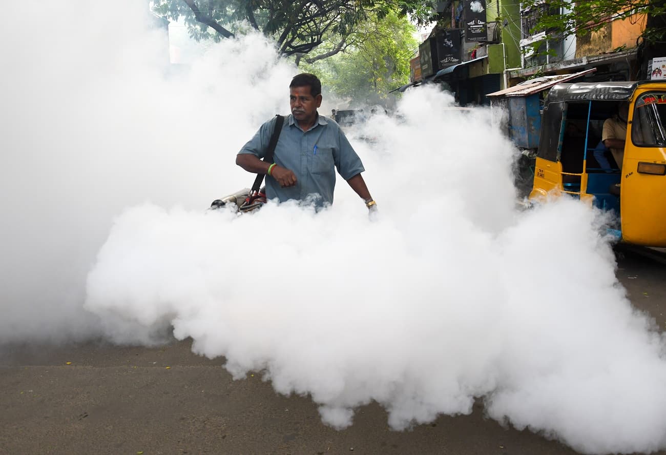 mosquito fogging