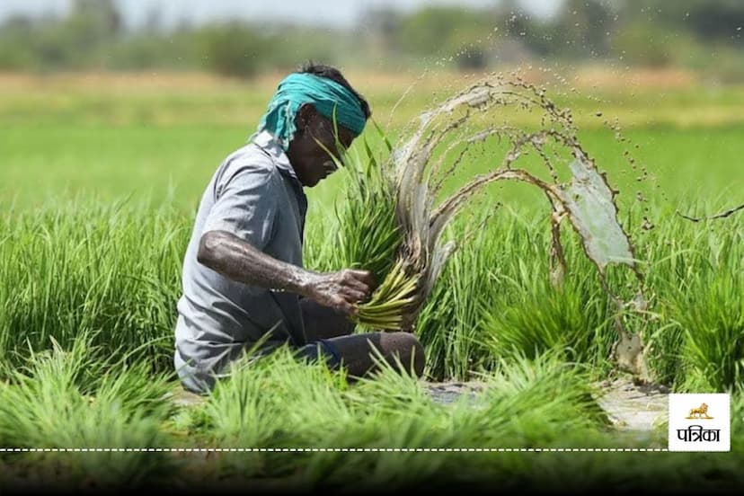 PM Fasal Bima Yojana