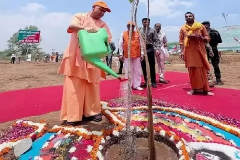 Plantation Mega Campaign: छह जिलों को मिलाकर स्टेट कैपिटल बनेगा लखनऊ, पौधरोपण महा अभियान में बोले सीएम योगी