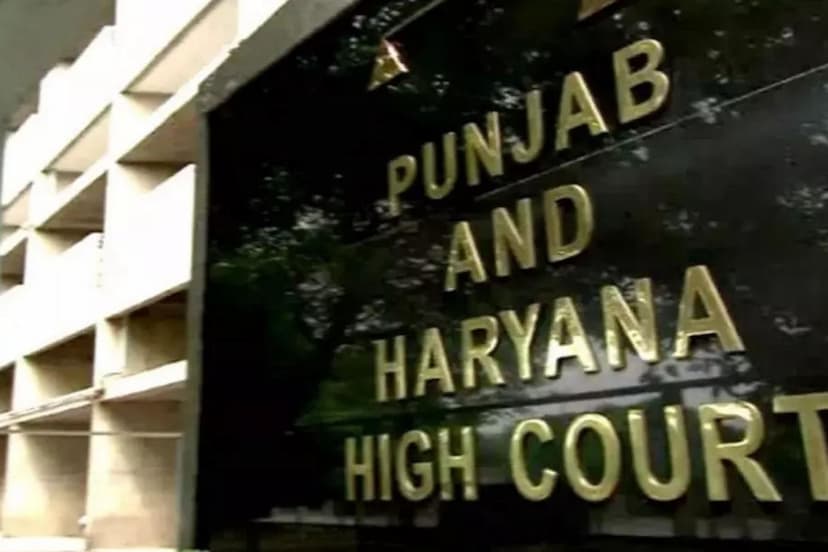 Punjab and haryana high court on live in relationship