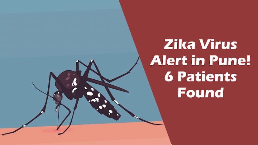 Zika Virus Alert in Pune! 6 Patients Found