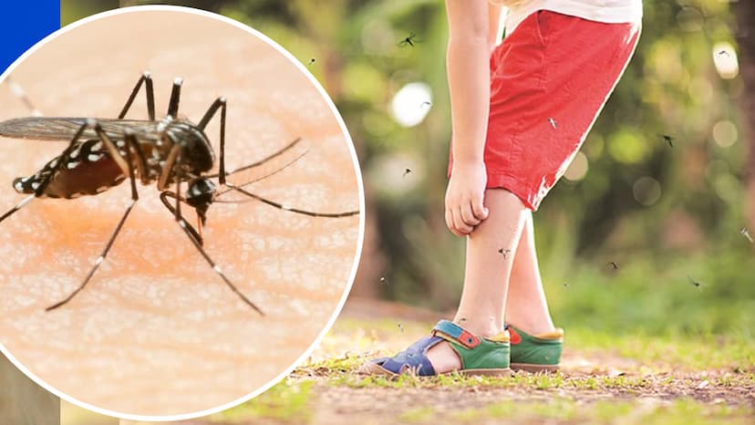 Deadly Chandipura Virus for Children: Know Symptoms, Prevention and Treatment