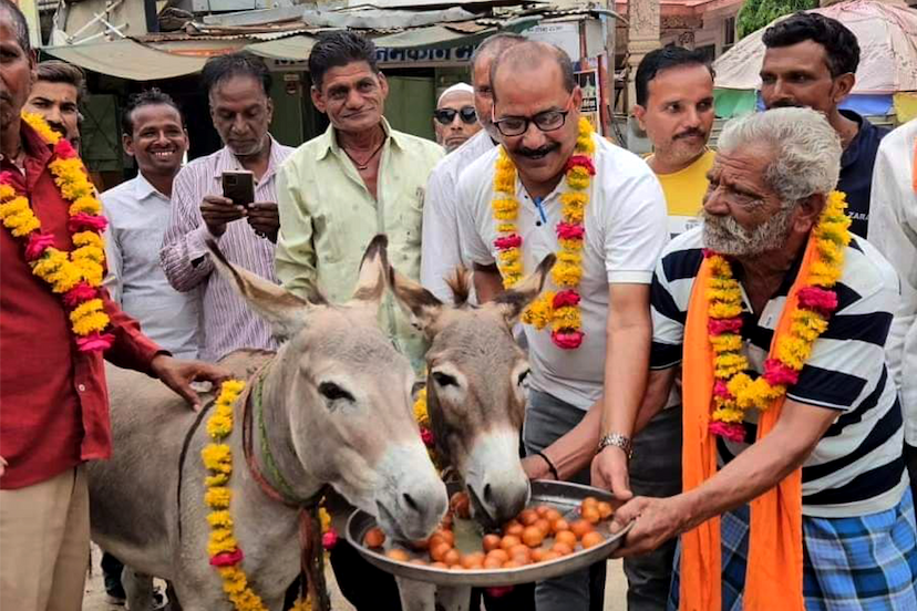 Donkey Eat Gulab Jamun