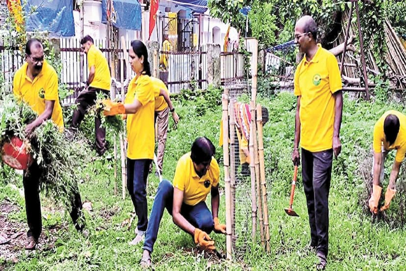 Ao ek ped abhiyan Bhilai chhattisgarh