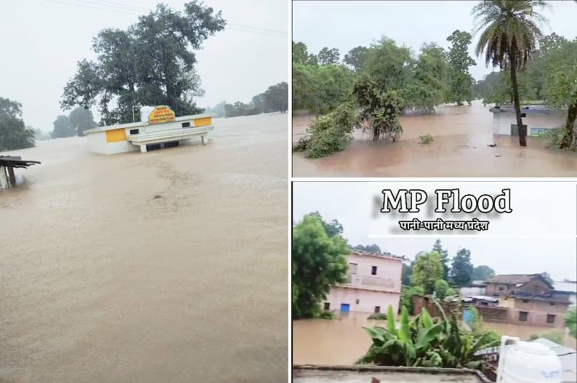 flood in katni