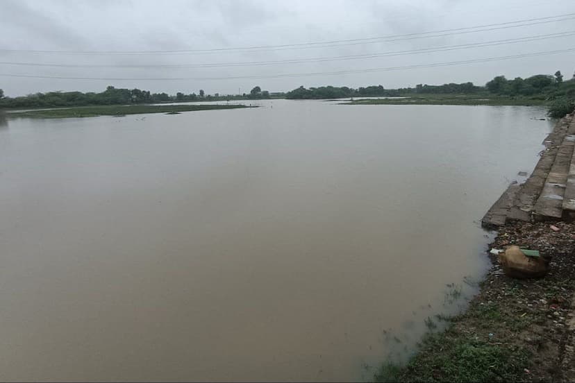 gatolav dam dausa