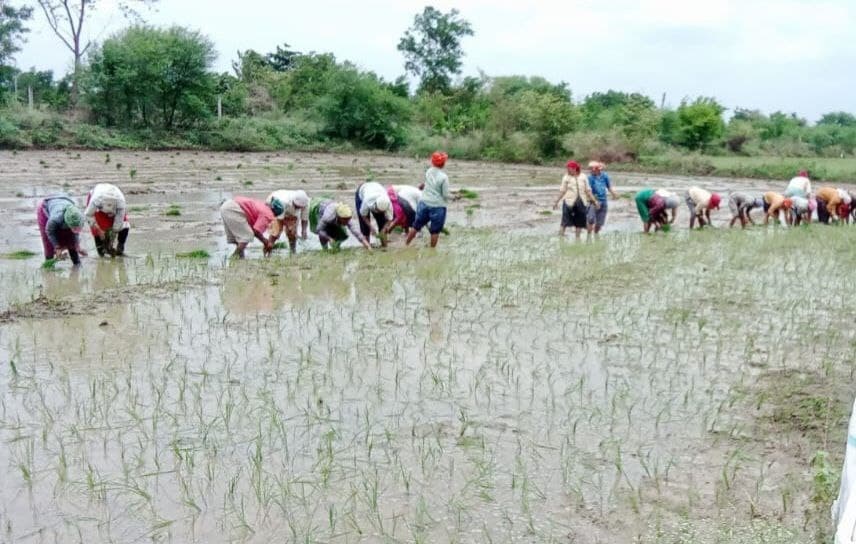 Chhattisgarh