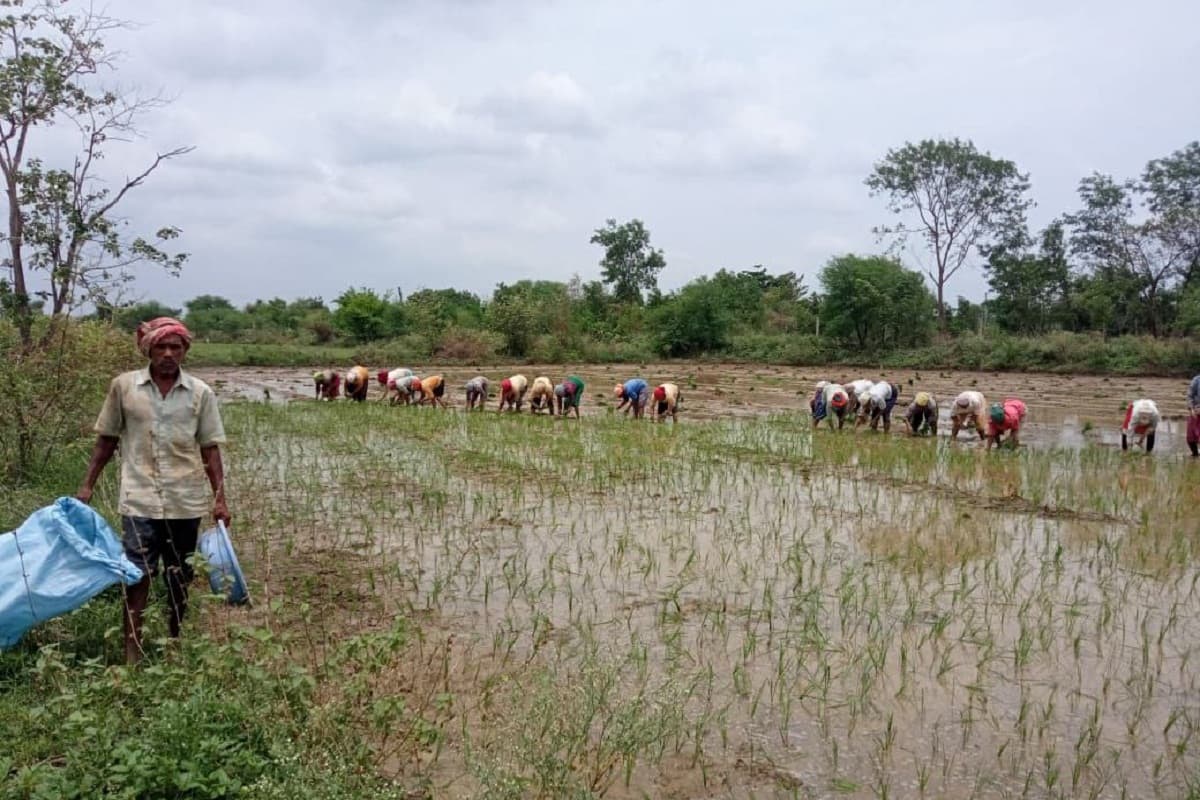 Chhattisgarh News