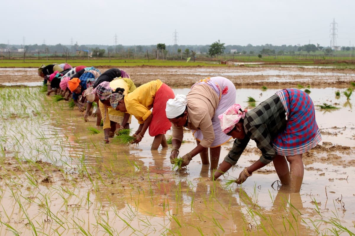 Chhattisgarh News