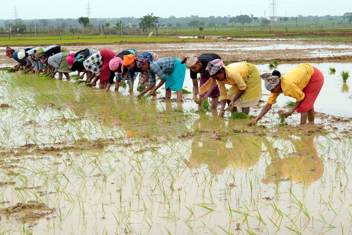 Chhattisgarh News