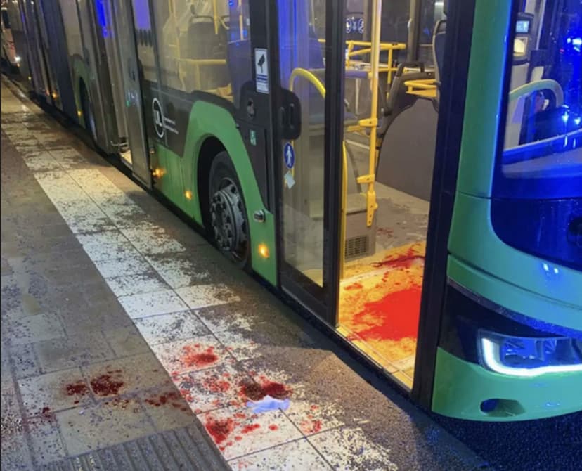 Swedish bus driver got brutally stabbed by Afghan immigrant