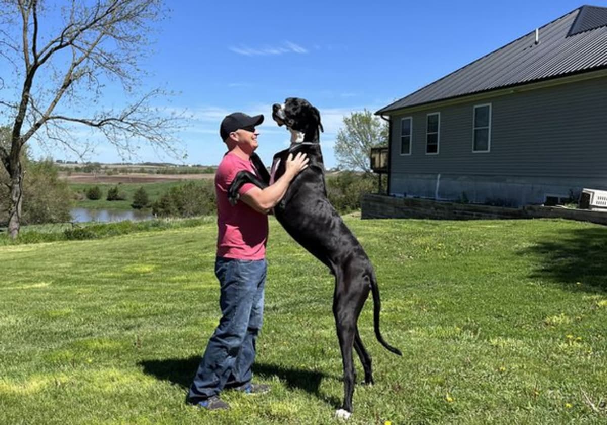 World's tallest dog with his owner