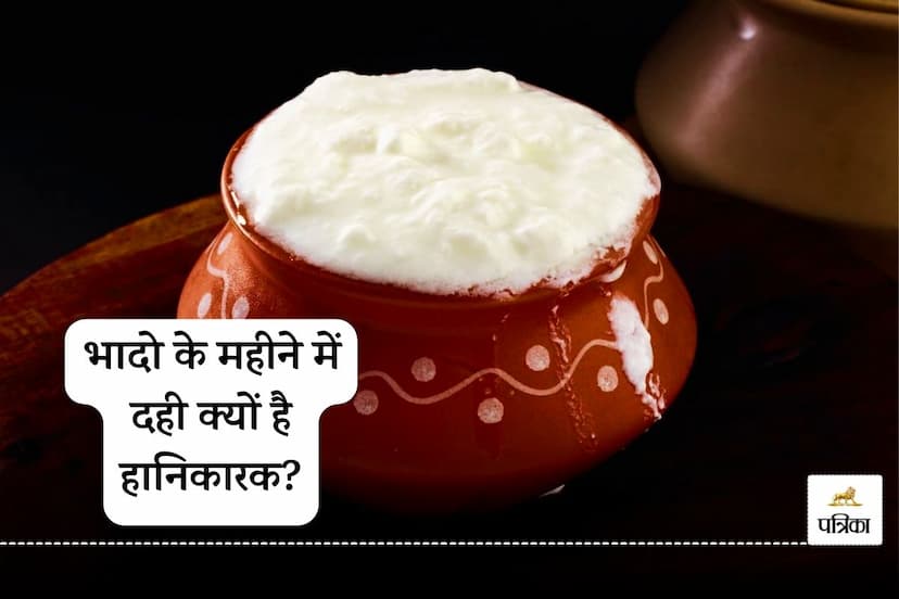 Curd in Bhadon: Harmful or Healthy? Uncover the Truth