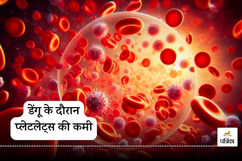 Natural remedies for dengue,