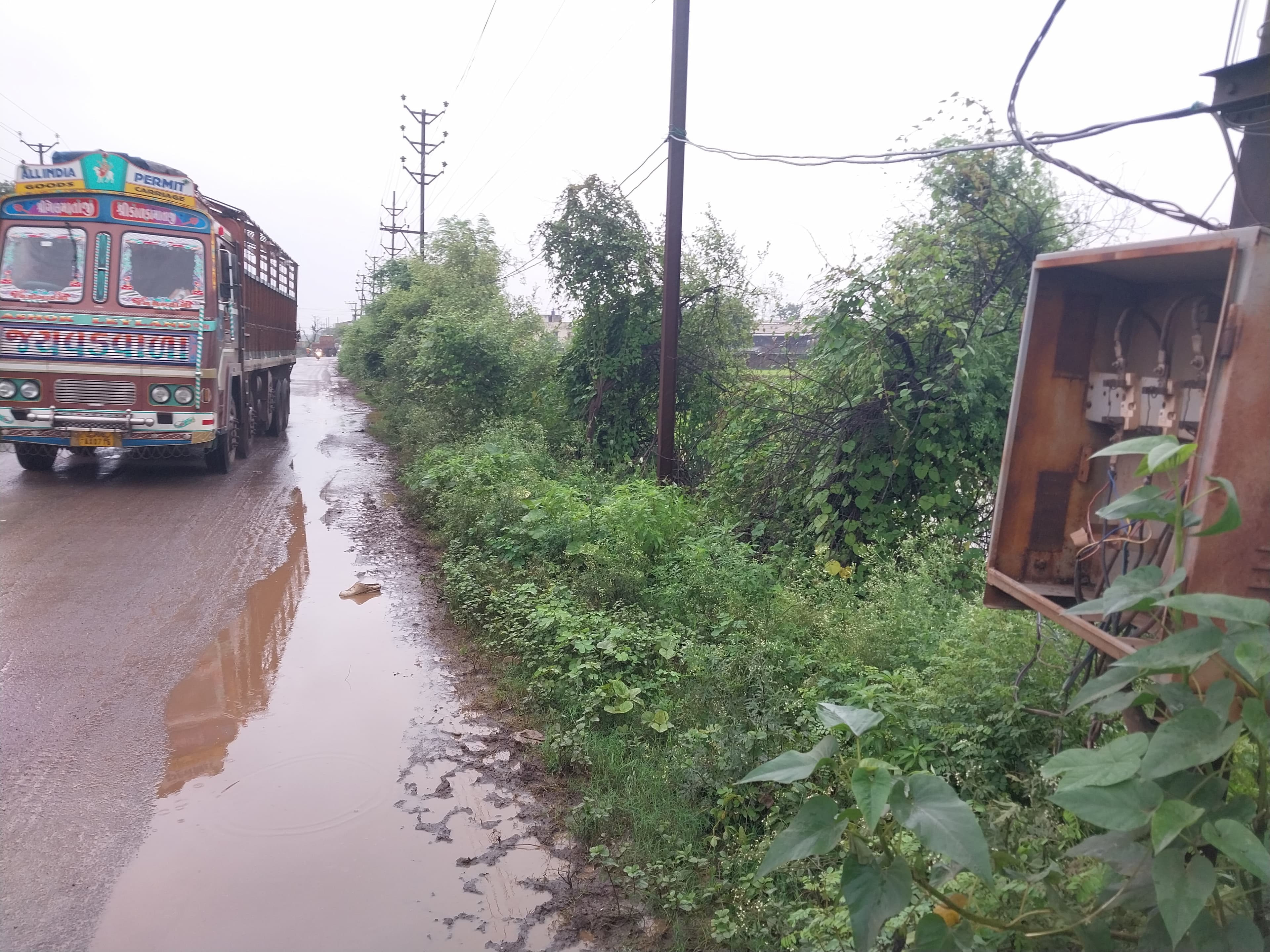 तेंदुआ मार्ग, हीरापुर। 