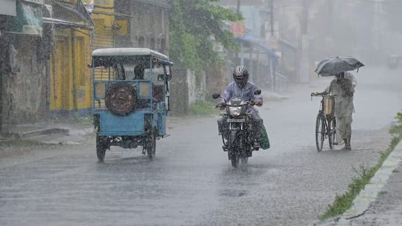 UP Rains