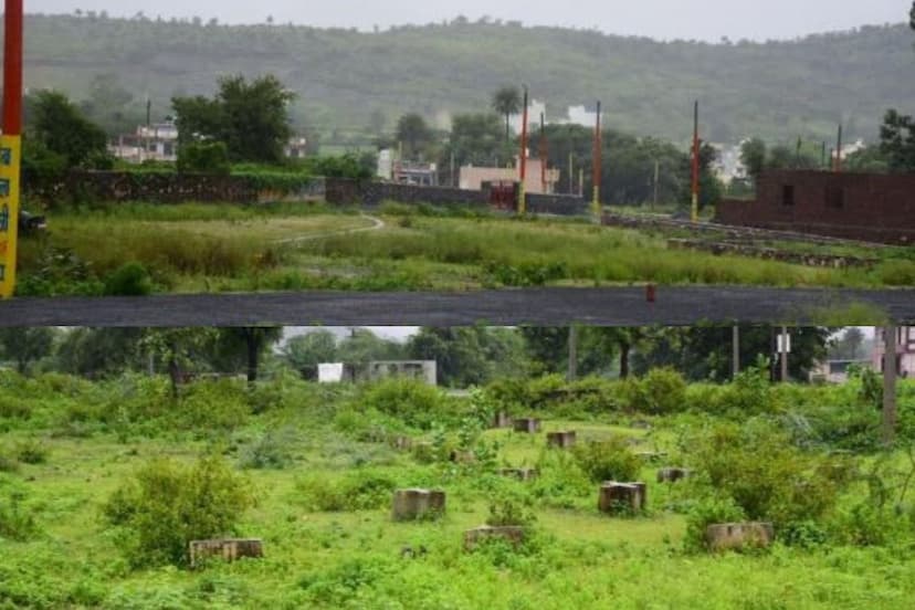 Crop colonies