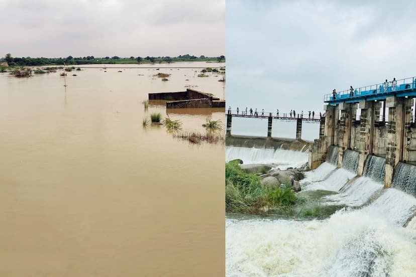 Rajasthan Monsoon 2024 masi river dam