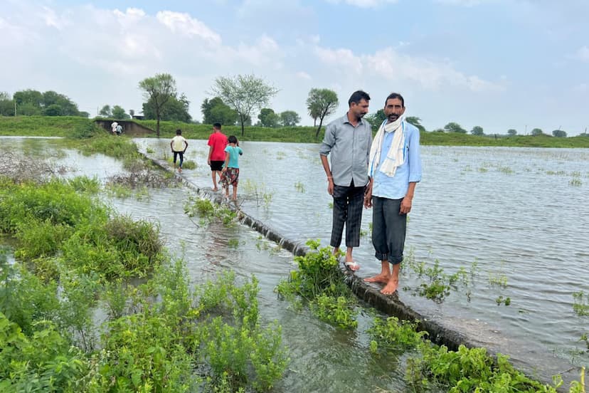 rajasthan dausa rain