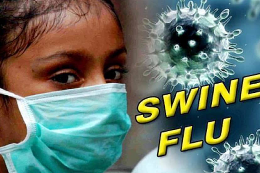 Swine Flu in CG, Bilaspur News