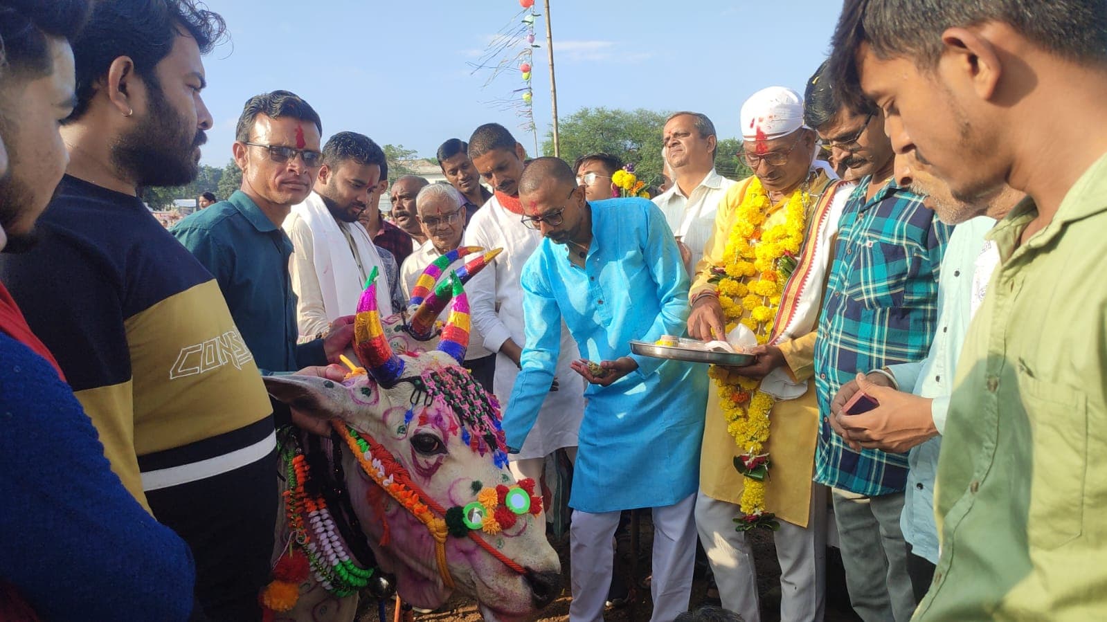 Pola festival celebrated with the worship of bull pairs