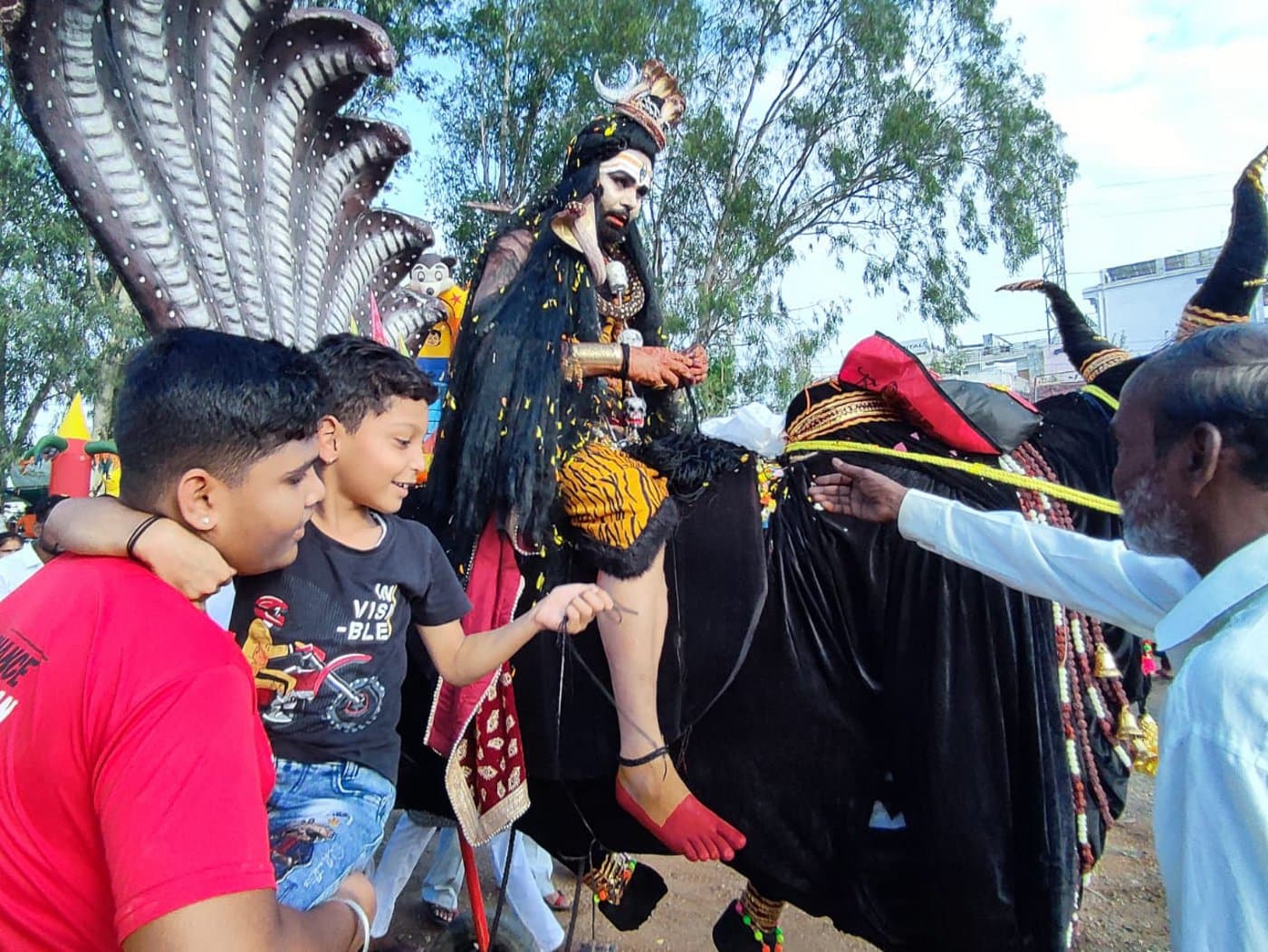 Pola festival celebrated with the worship of bull pairs