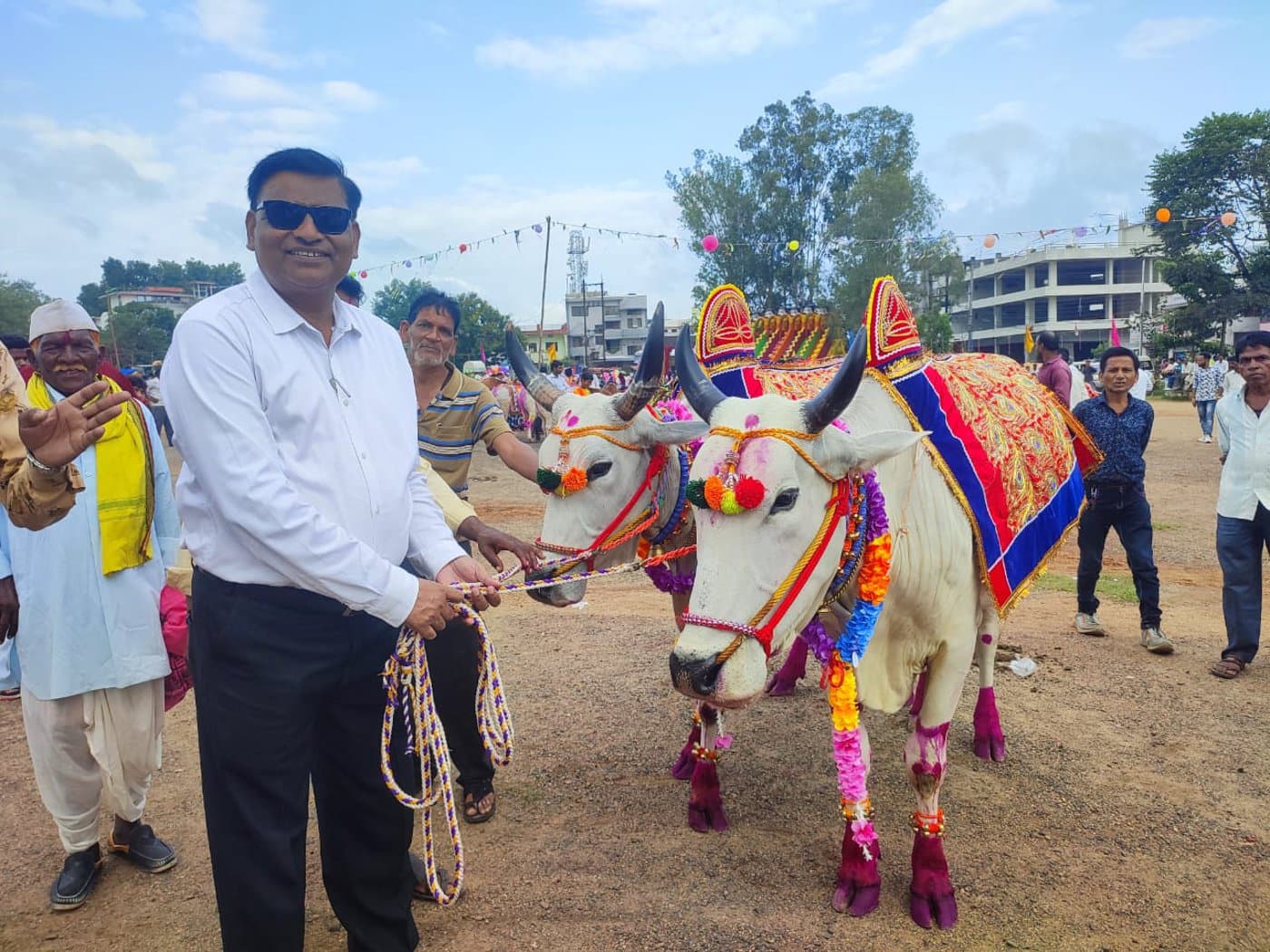 Pola festival celebrated with the worship of bull pairs