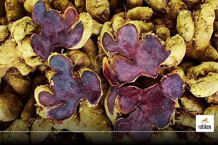 Amazing Benefits of Kali haldi Black Turmeric