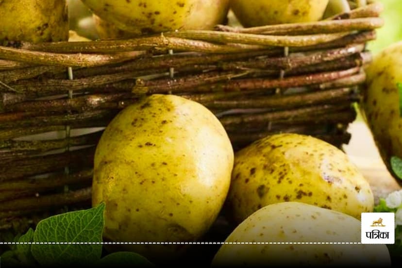 Potato is a precious treasure of iron, calcium and manganese