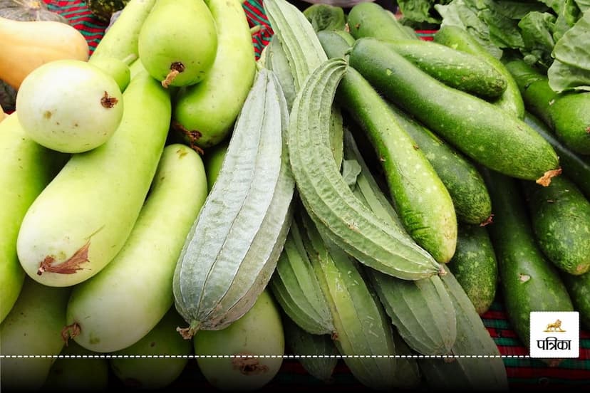 Bottle Gourd vegetable is only helpful in weight loss