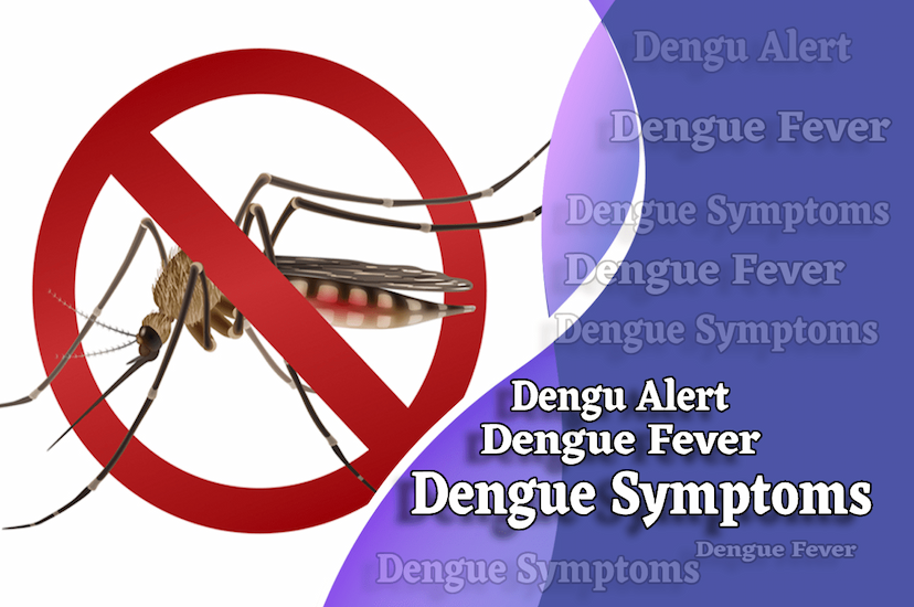 dengue symptoms