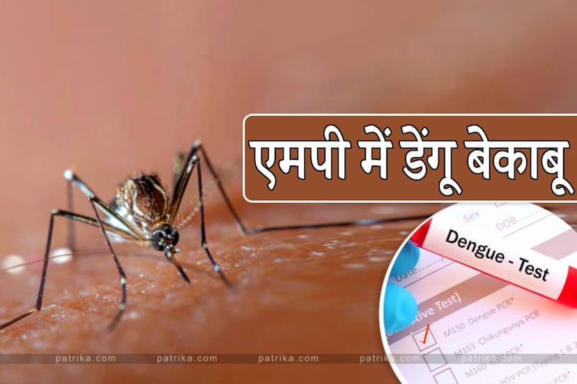 Dengue