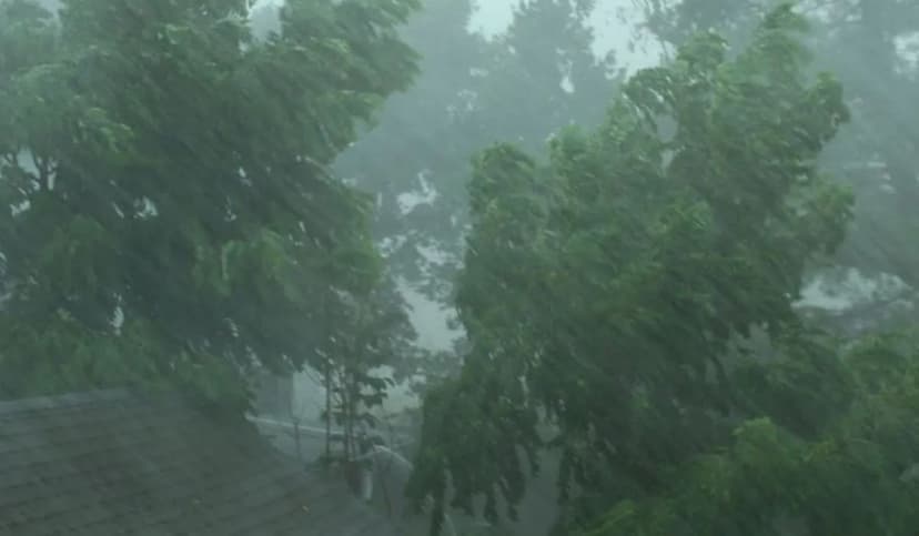 IMD has issued an alert of heavy rain in many districts of Uttarakhand