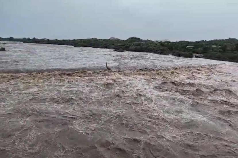 Jawai Dam