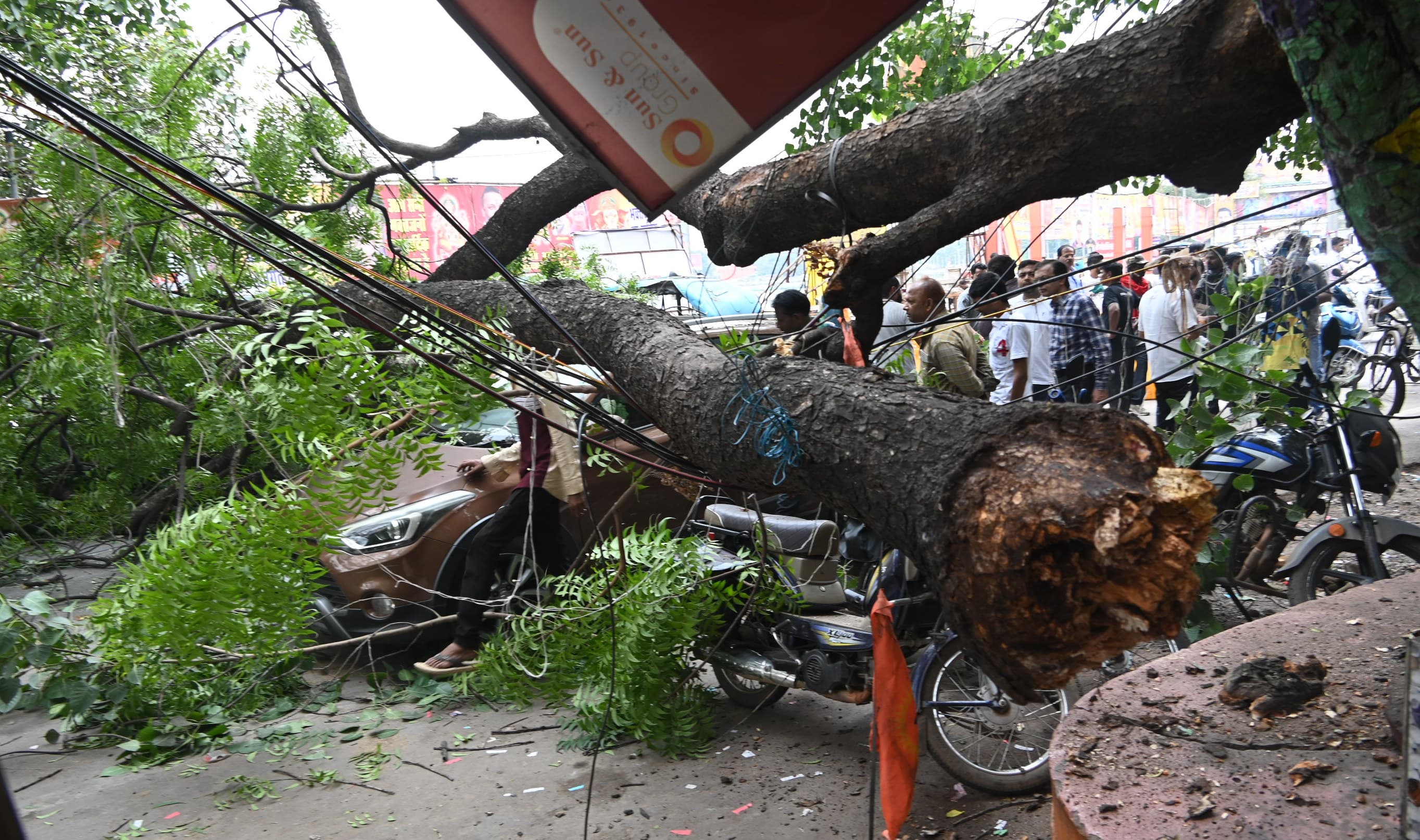 Tree trunk fell in Budhapara of the capital, e-rickshaw driver injured