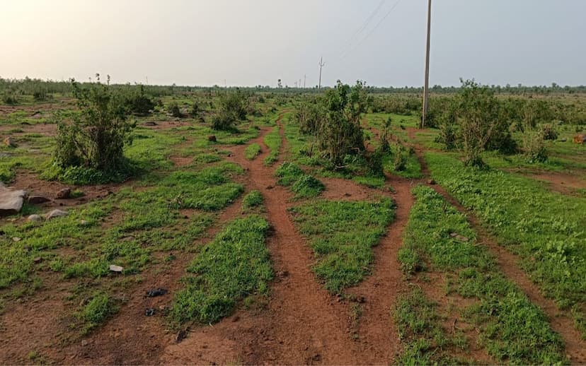 The state's first largest cow sanctuary will be built in Deval.