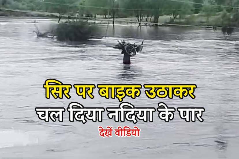 Amazing Video damoh