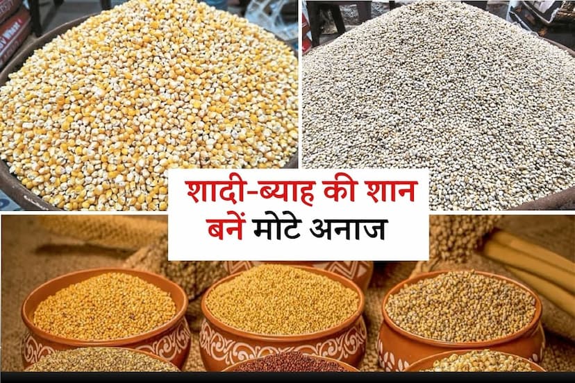 Rajasthan Farmers are Happy Coarse Grains Cultivation Profitable Deal Prices Increased