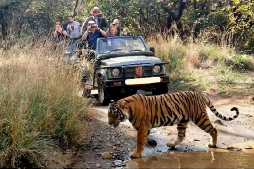 Ranthambore National Park