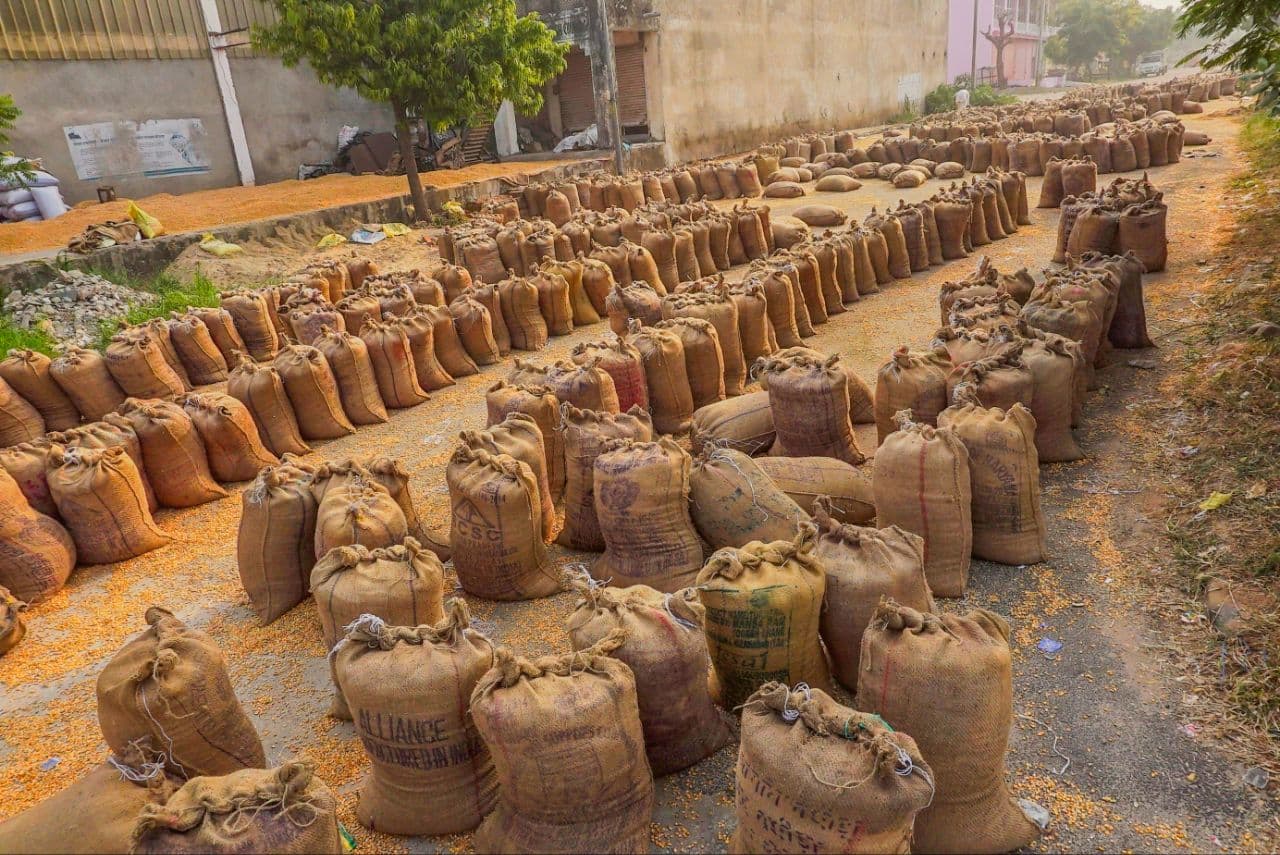 Groundnut in demand