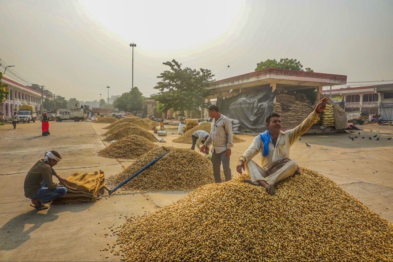 Groundnut in demand