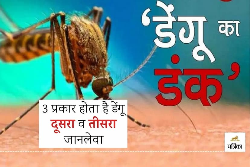 Rajasthan Suspected Dengue Patient Died in Jaipur Know what are Dengue Symptoms