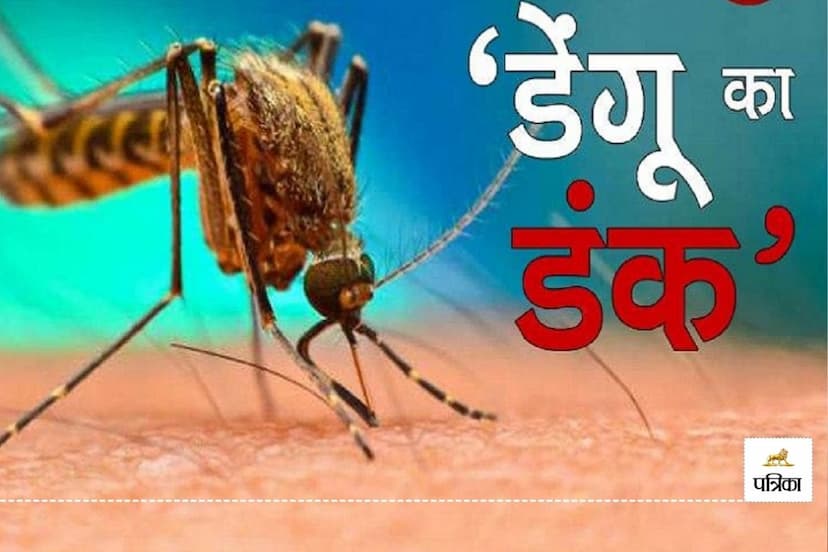 Rajasthan 9 Districts Dengue Havoc Joint Director gave instructions in Hanumangarh