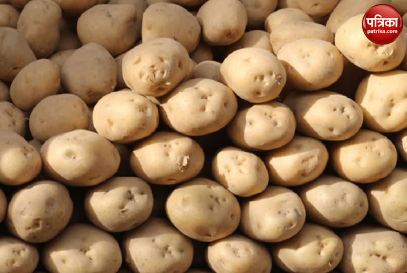 Fake and chemical-laden potatoes are now being sold in the market