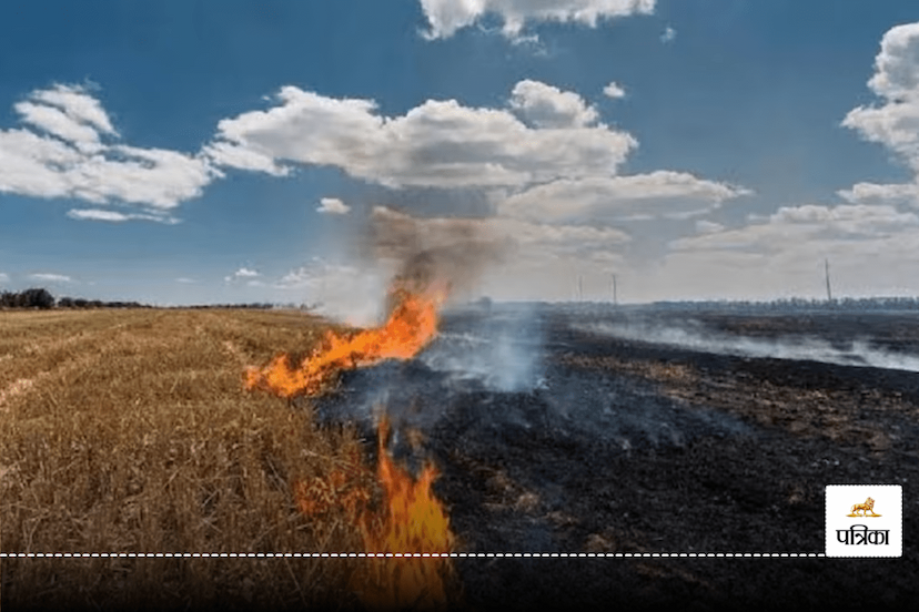 FIR will be filed against farmers burning stubble in Haryana