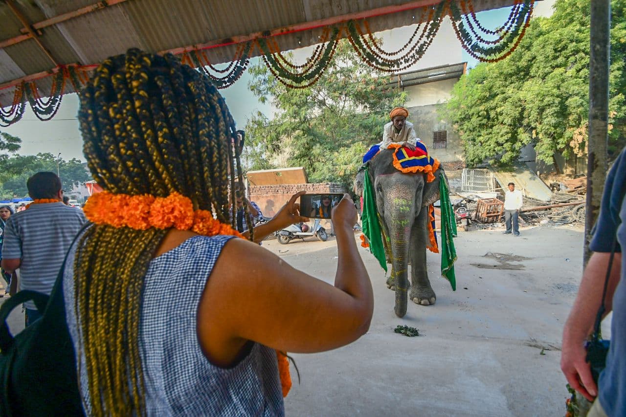  Palace on wheels in jaipur