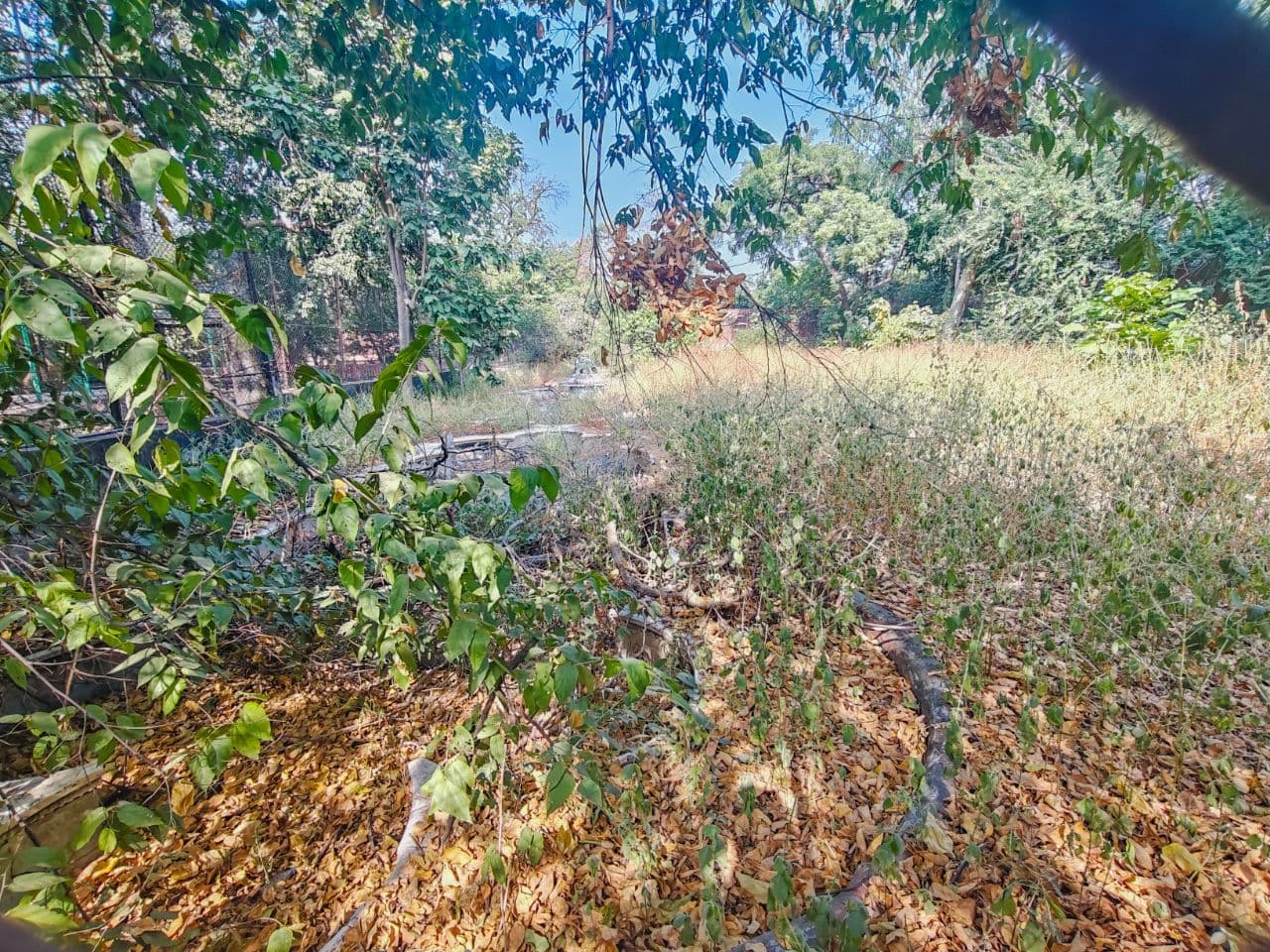 Jaipur zoo in Ramniwas baag 